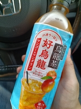 フォト日記