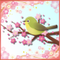 さくら